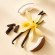 ALQÉMI Vanilla Noor