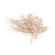 Paese High Definition Loose Powder