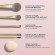 MORPHE Compose Yourself 6-Piece Brush & Tool Set 