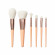 Morphe Aurascape 6-Piece Face & Eye Travel Brush Set