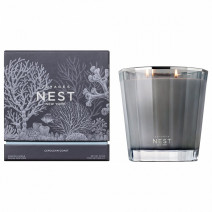NEST NEW YORK Voyages Cerulean Coast 2-Wick