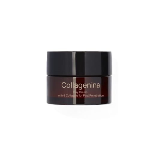 COLLAGENINA Day Cream With 6 Callagens For Fast Penetration Grade 3
