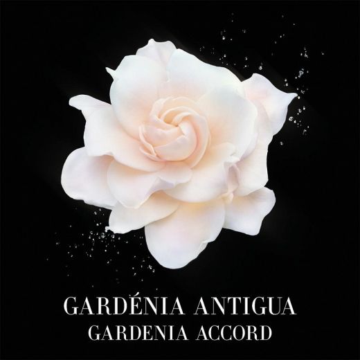 GIORGIO ARMANI Prive Gardenia Antigua