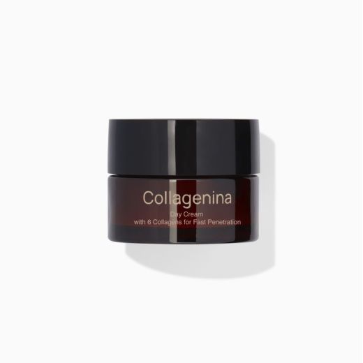 COLLAGENINA Day Cream With 6 Callagens For Fast Penetration Grade 2