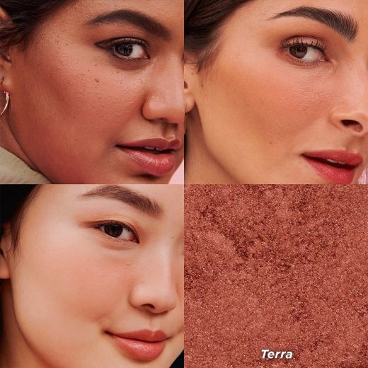 Benefit Cosmetics Terra Gold Brick-Red Blush Mini