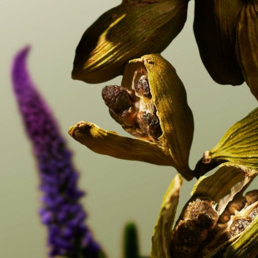 RITUALS L'Essentiel Eau de Parfum