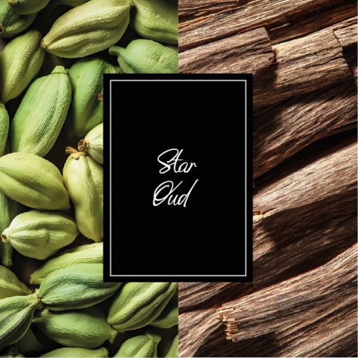 MONTBLANC Star Oud
