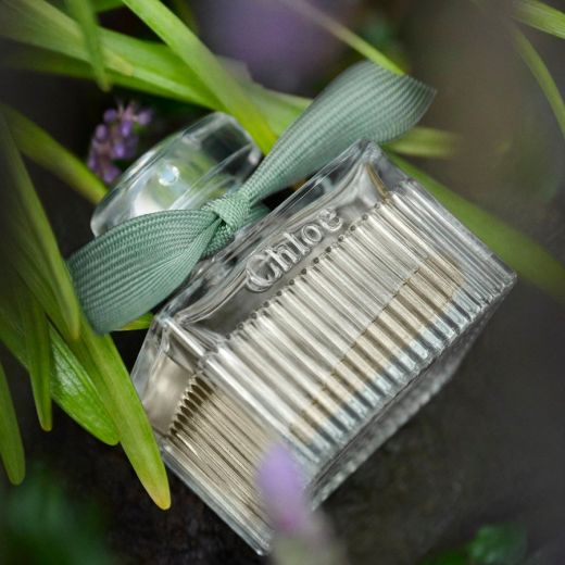 CHLOÉ Rose Naturelle Intense 