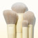 MORPHE Buttery Blends 4-Piece Face Brush Set