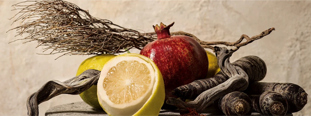 PROCEANIS Hyaluron Drink Duo