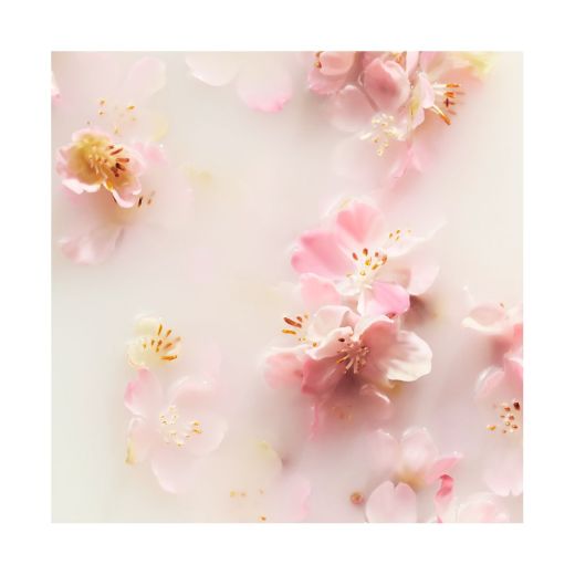 RITUALS The Ritual Of Sakura Home Perfume 